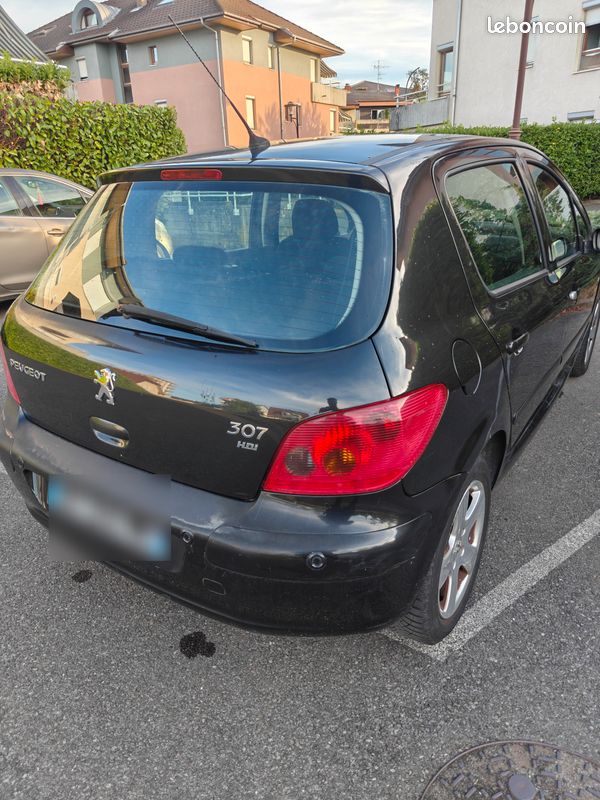 Peugeot 307 HDI 2.0 XS Premium 20044 (image 2)