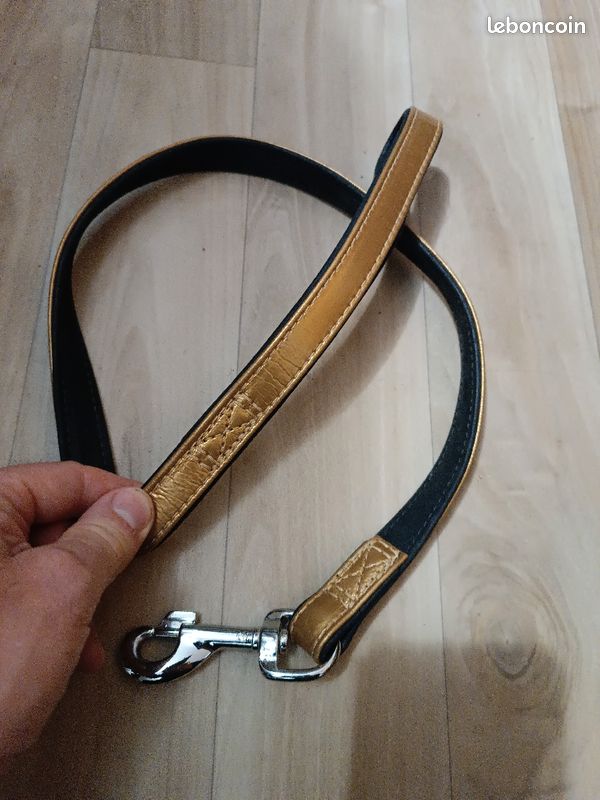 Laisse chien 90 CMS neuve dorée mousqueton (image 2)