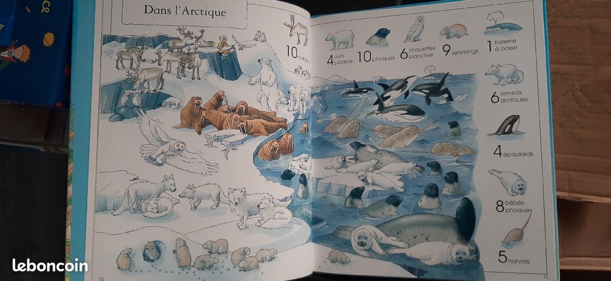 Livre 1001 animaux à trouver Éditions Usborne (image 5)