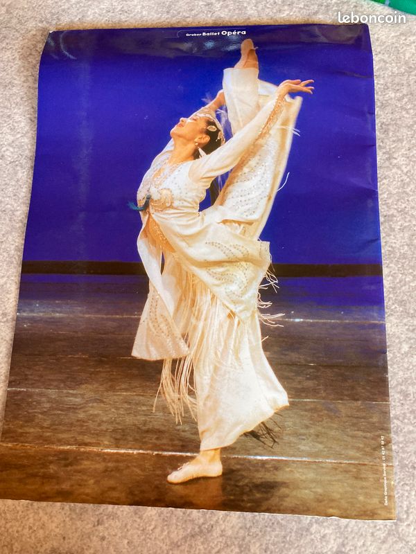 Livre l'étoile rouge Ballet de Pékin (image 4)