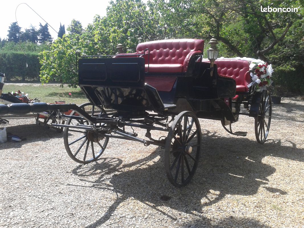 Calèches prestige (image 2)