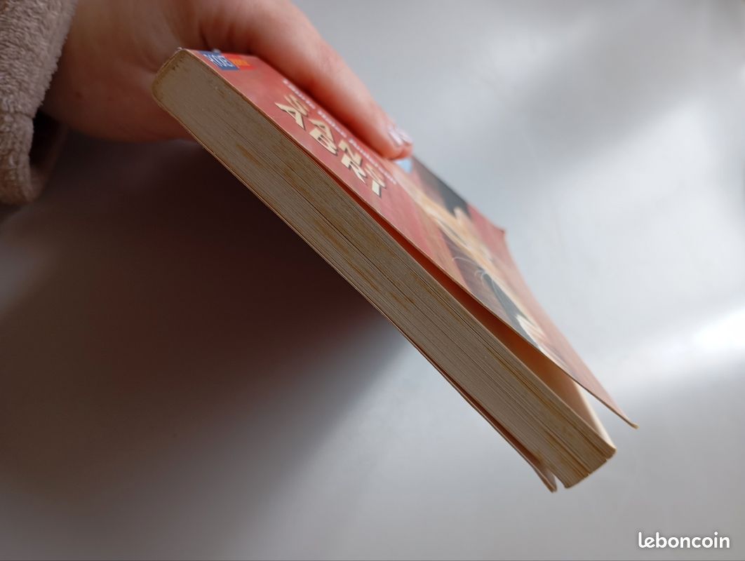 Livre "sans abris" Les petits vétérinaires (image 5)