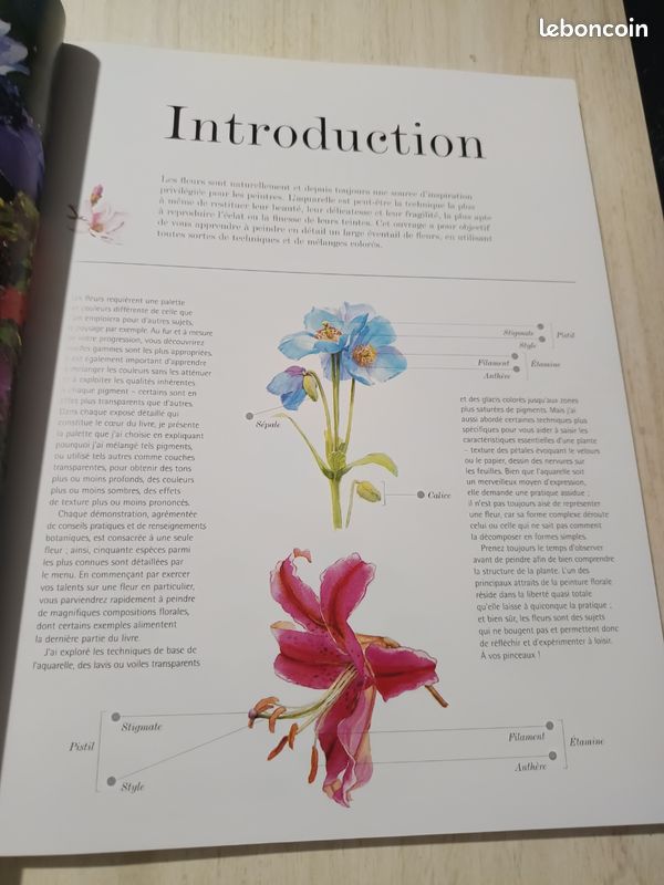 Fleurs à l'aquarelle de a à z (image 10)