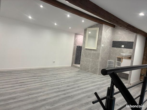 Magnifique T3 renové — 2