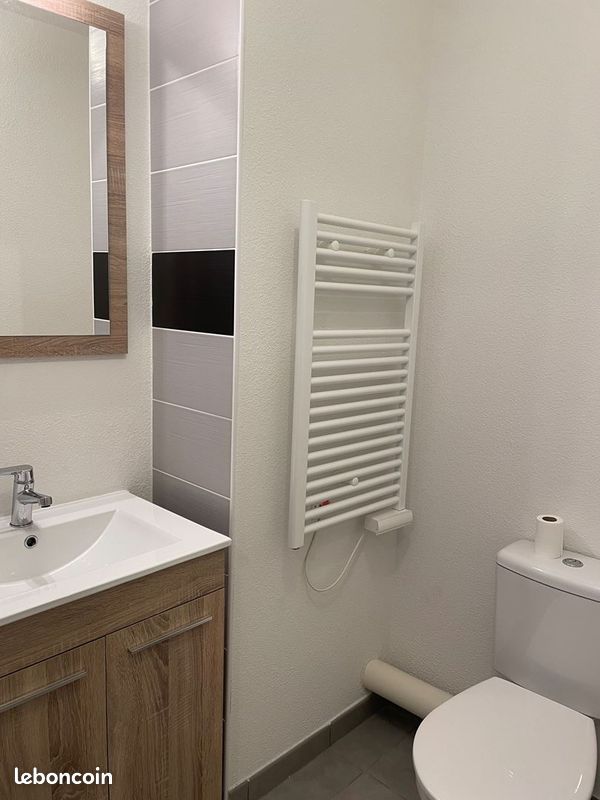 Appartement 1 pièce 20 m² - Limoges 87000 (image principale 4)