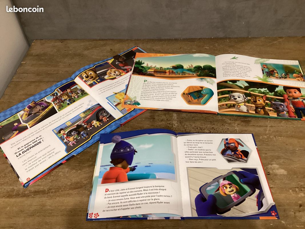 Lot Livres Pat patrouille (image 4)