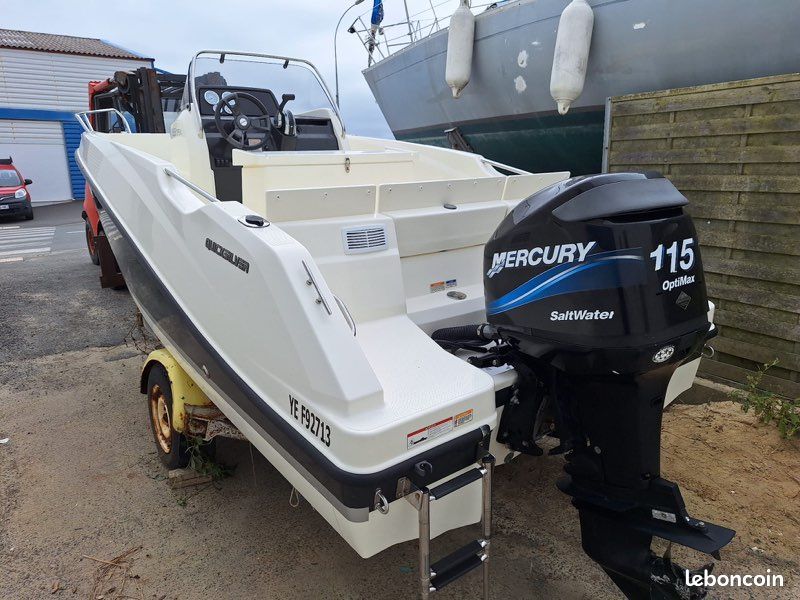Moteur hors bord Mercury Optimax 115cv (image 1)