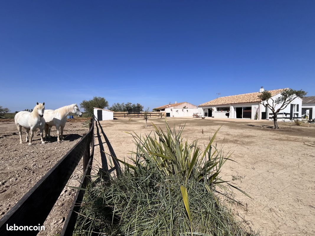 Maison 7 pièces 265 m² · à Arles · 265 m² · 750 000 €