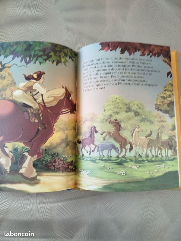 Livre enfant Princesses à cheval (image 4)