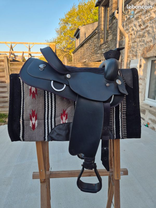 Selle de dressage - Isabell Icon Hart Wintec