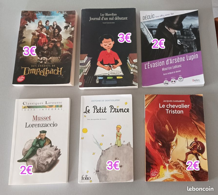 Livres pour le collège (image 3)