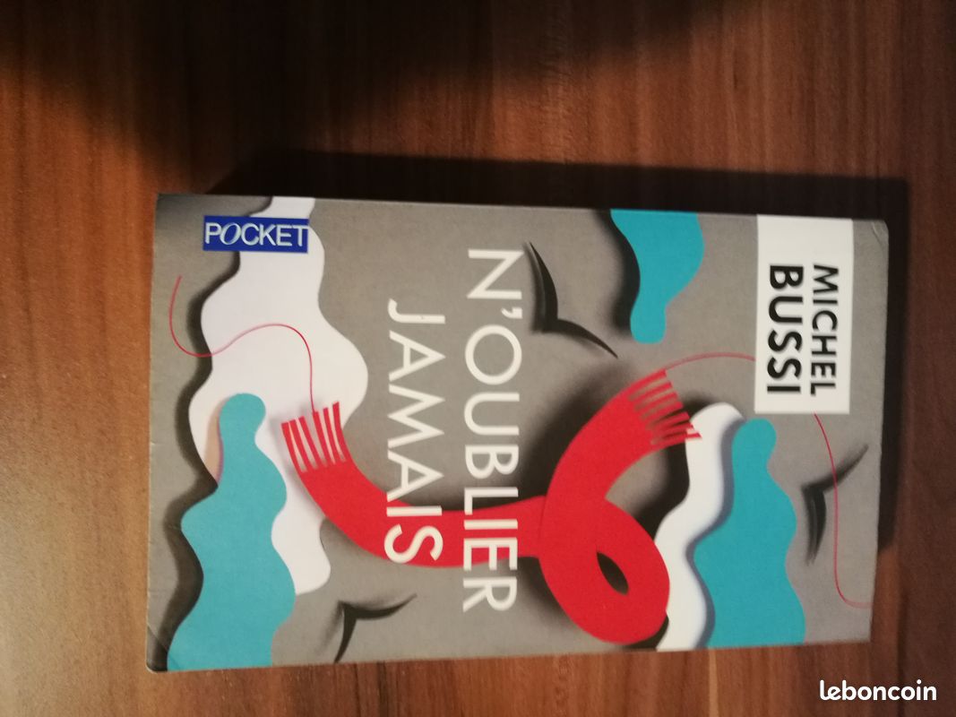 N'oublier jamais - Michel bussi (image 1)