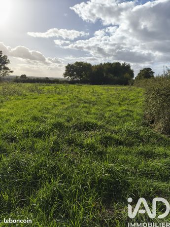 Terrain 4300 m² Ceaulmont