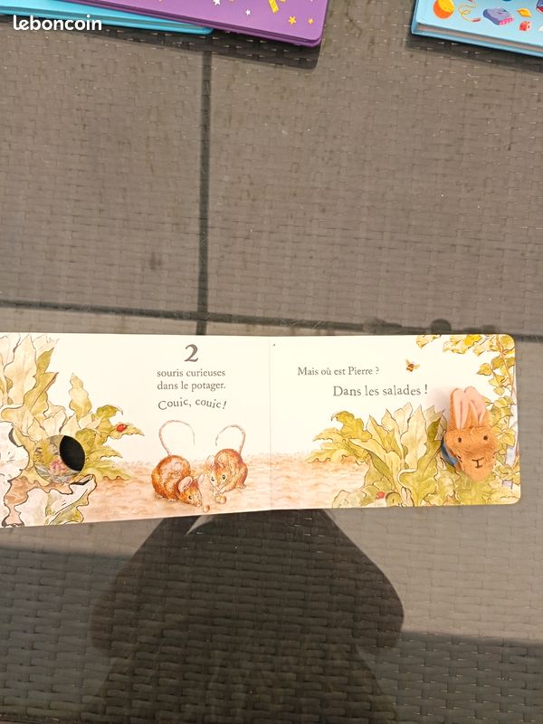Le livre marionnette de Pierre Lapin et ses amis (image 3)