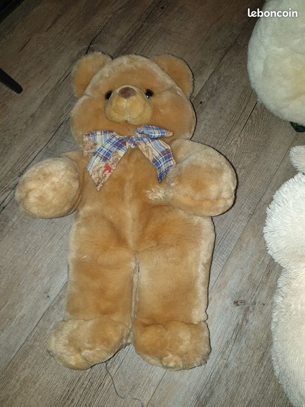 Des ours (image 3)