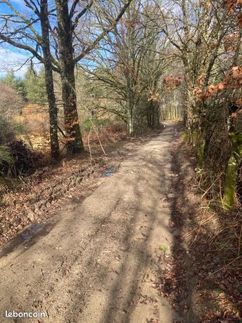 Terrain constructible + agricole + forêt