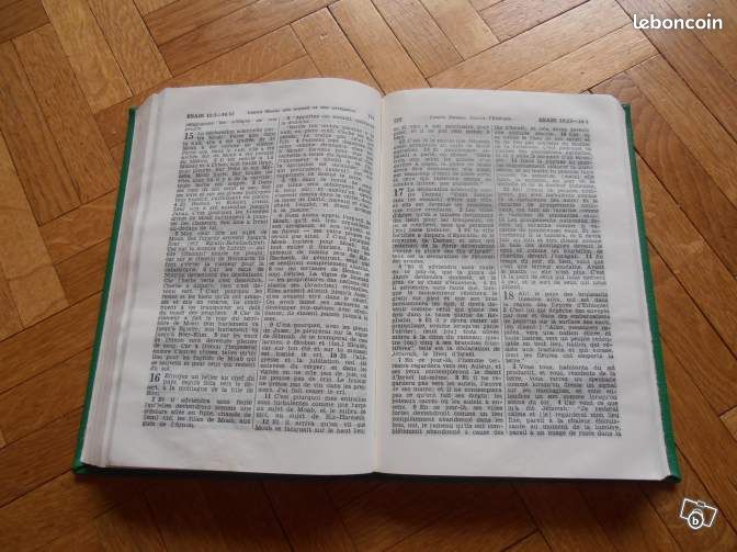 Saintes Ecritures + Le livre de Mormon (image 2)