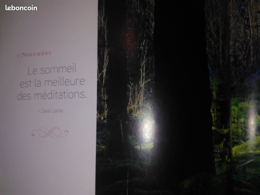 Une annee de bonheur (image 6)