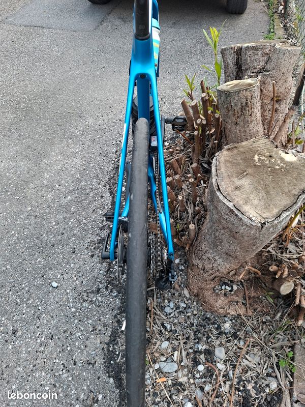 Velo de course (image 5)