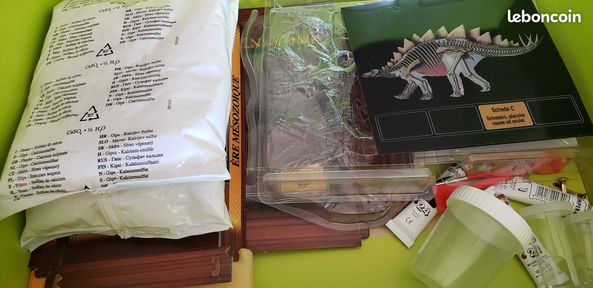 Science et jeu : "Le monde des dinosaures" (image 3)