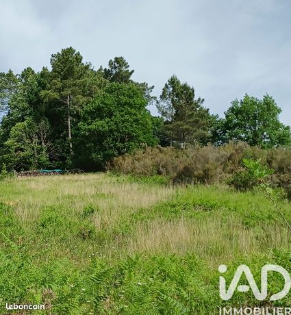 Terrain 7136 m² Tamniès