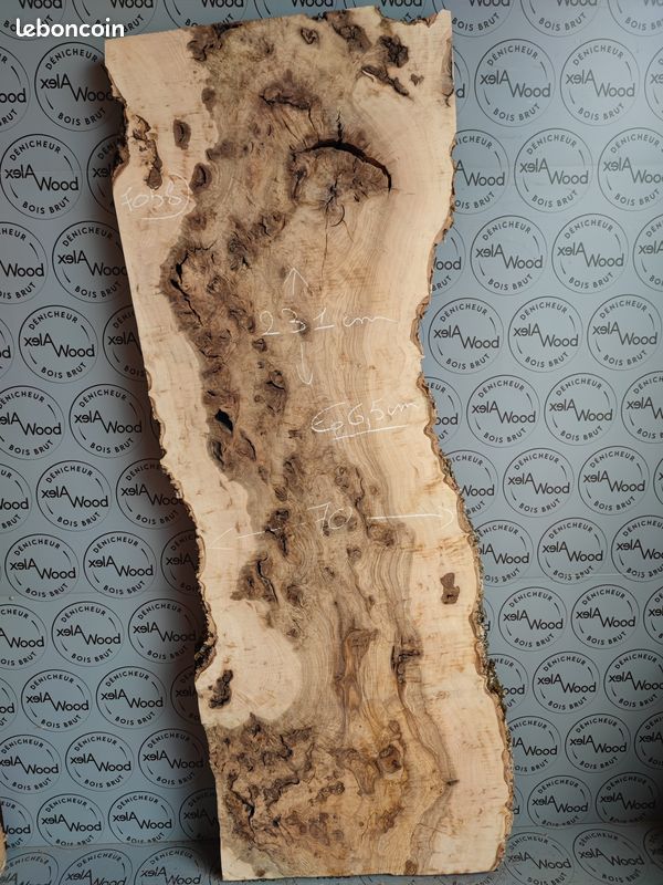 Plateau planche bois brut loupe de frêne olivier (image 2)