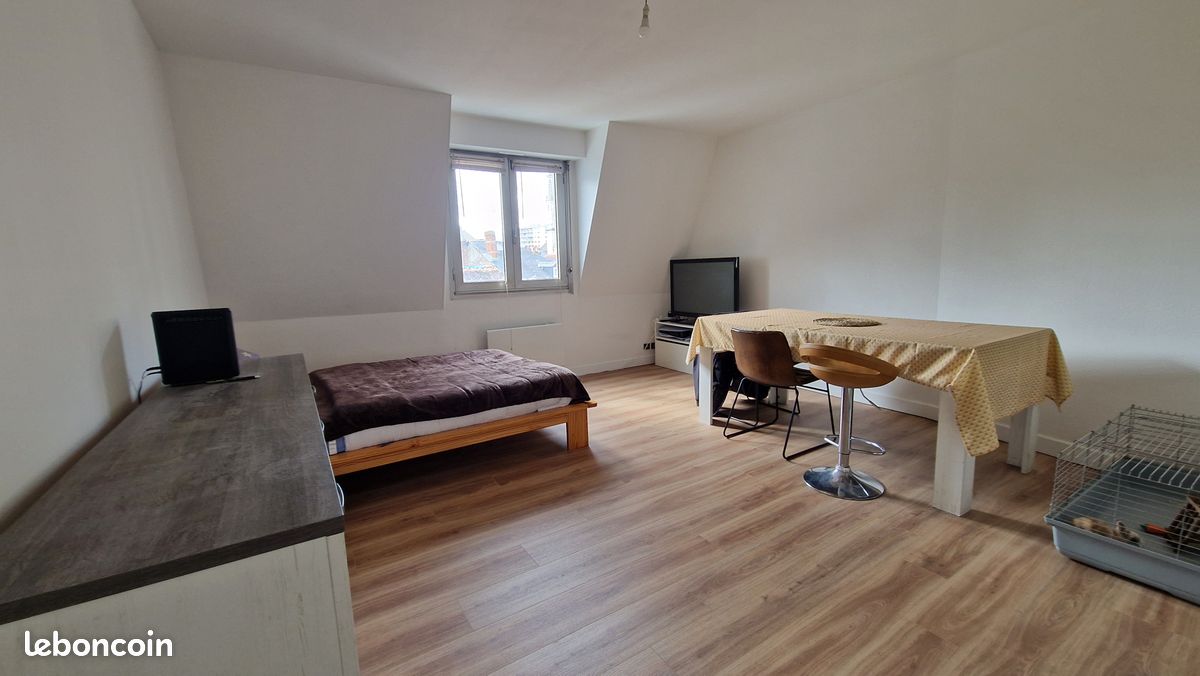Studio 34 m² hyper centre - Locations