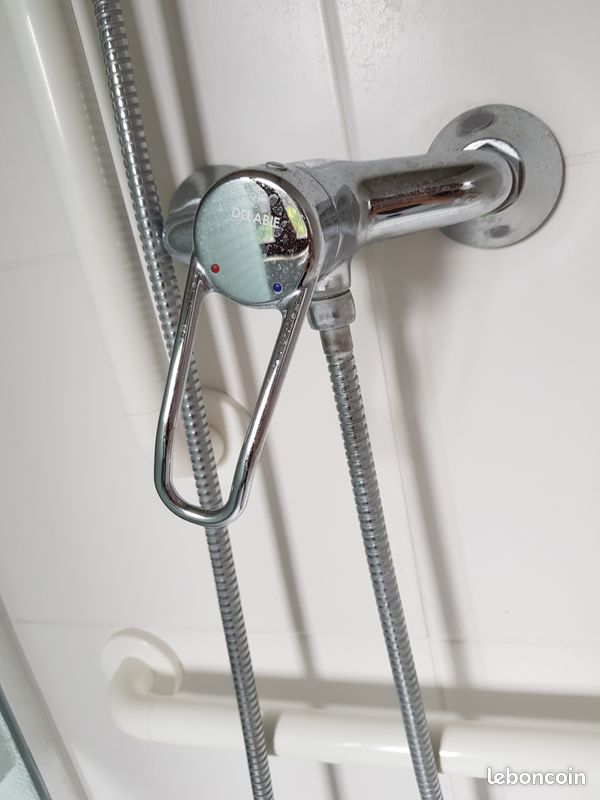 Mitigeur de douche Delabie (image 1)