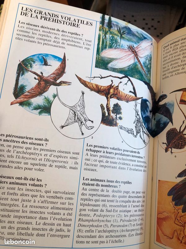 Les animaux de la nature en 666 questions (image 7)