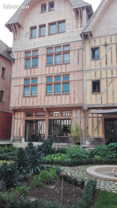 Appartement a louer troyes - 2 pièce(s) - 53 m2 - Surfyn