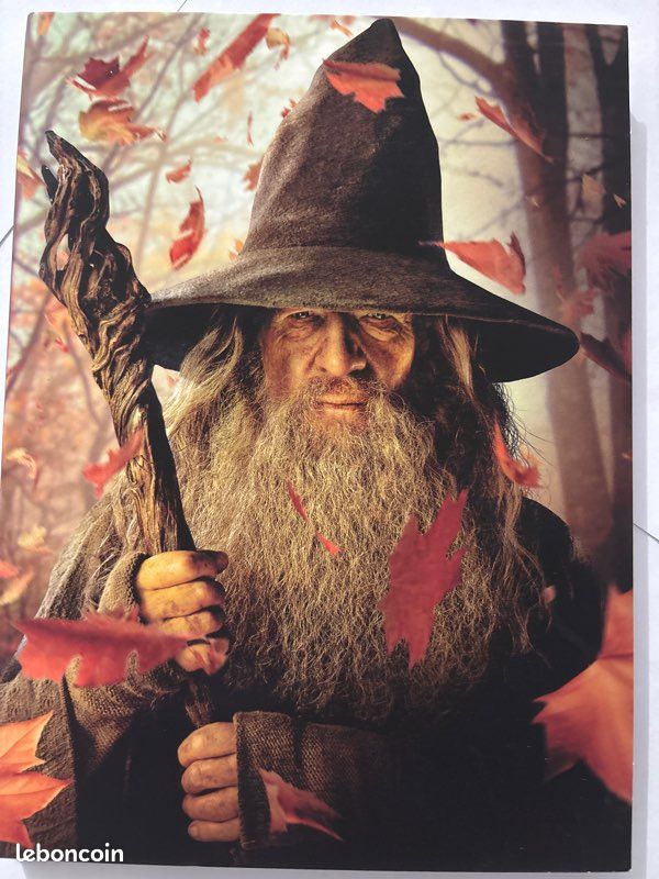 Le Hobbit - Édition collector (image 4)
