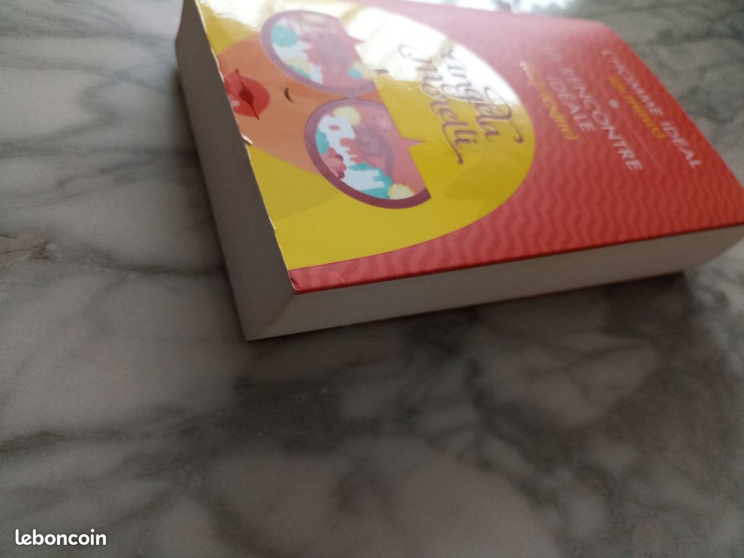 2 livres en 1 d'Angela morelli l'homme idéal/la rencontre idéale (image 4)