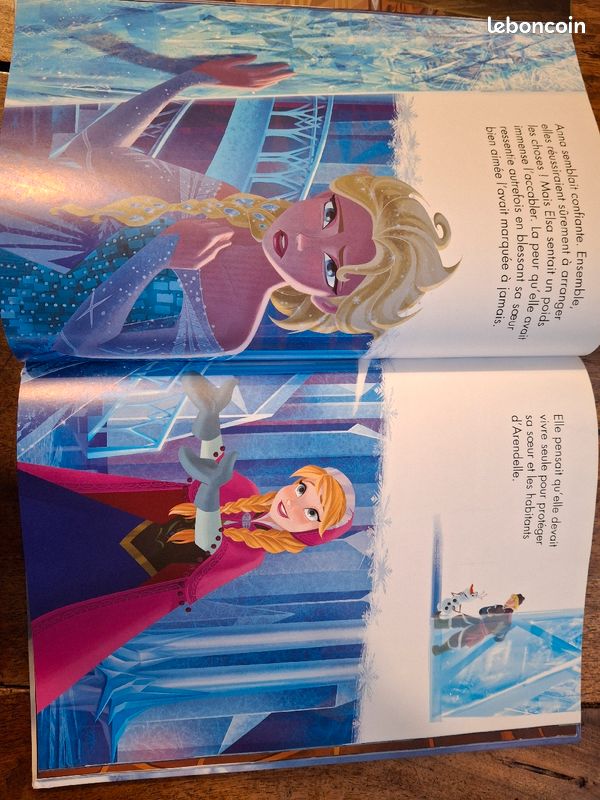 Livre Disney La Reine des Neiges (image 3)