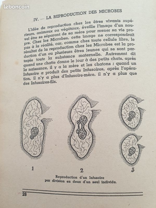 Livre ancien sur microbiologie. Le monde des microbes (image 3)