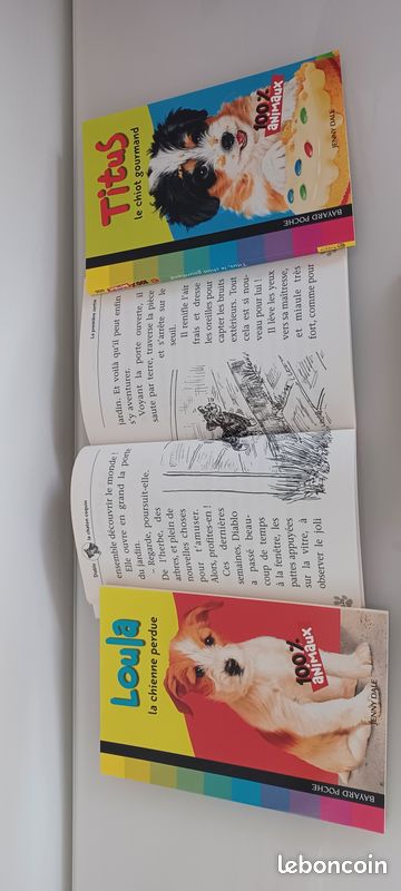Lot de 5 livres enfant série "100% animaux" lecteurs débutants (image 3)