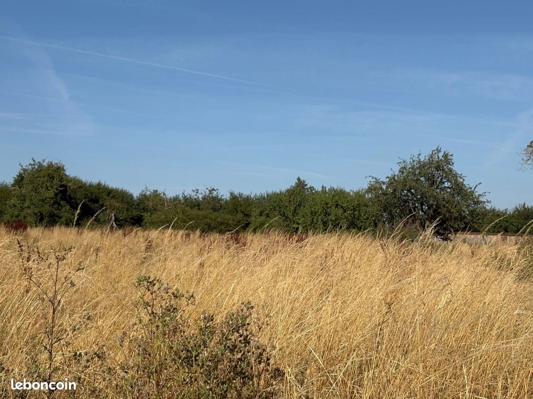 Terrain 691 m² Jallaucourt (image 9)