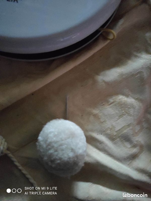 Divers jeux pour chat éléphant pelote de ficelle bleu avec boules jeux à pile (image 4)