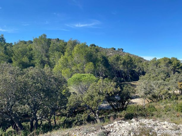 Terrain 350 m² Cournonterral