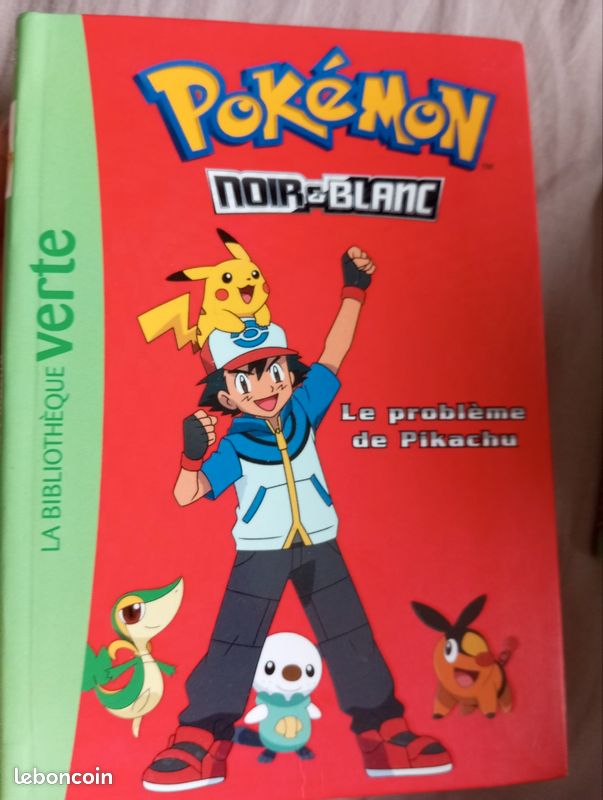 Lot 2 livre pokémon (image 2)