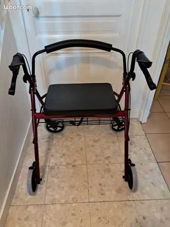 Déambulateur Rollator Londres 2 Roues - Avec Siège - Occasion Fonctionnel