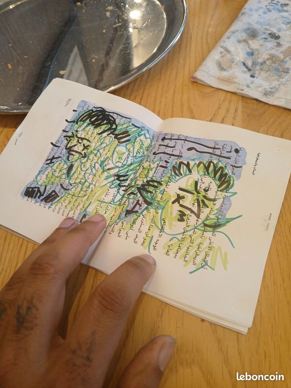 Lot de 10 romans graphiques (image 14)