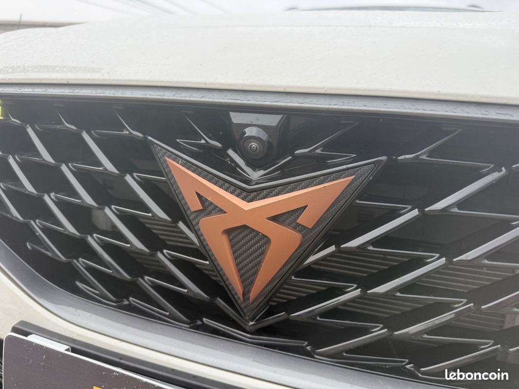 Cupra formentor 2.0 tdi 150 ch bvm6 camera 360° / carplay / acc / loa credit ballon possible (image 11)
