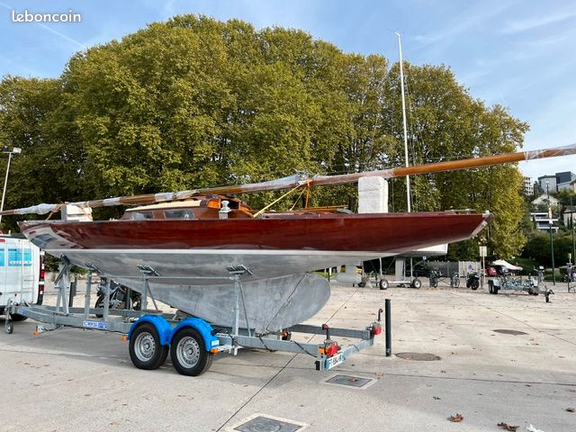 Requin Pouvreau — Vedi foto 1