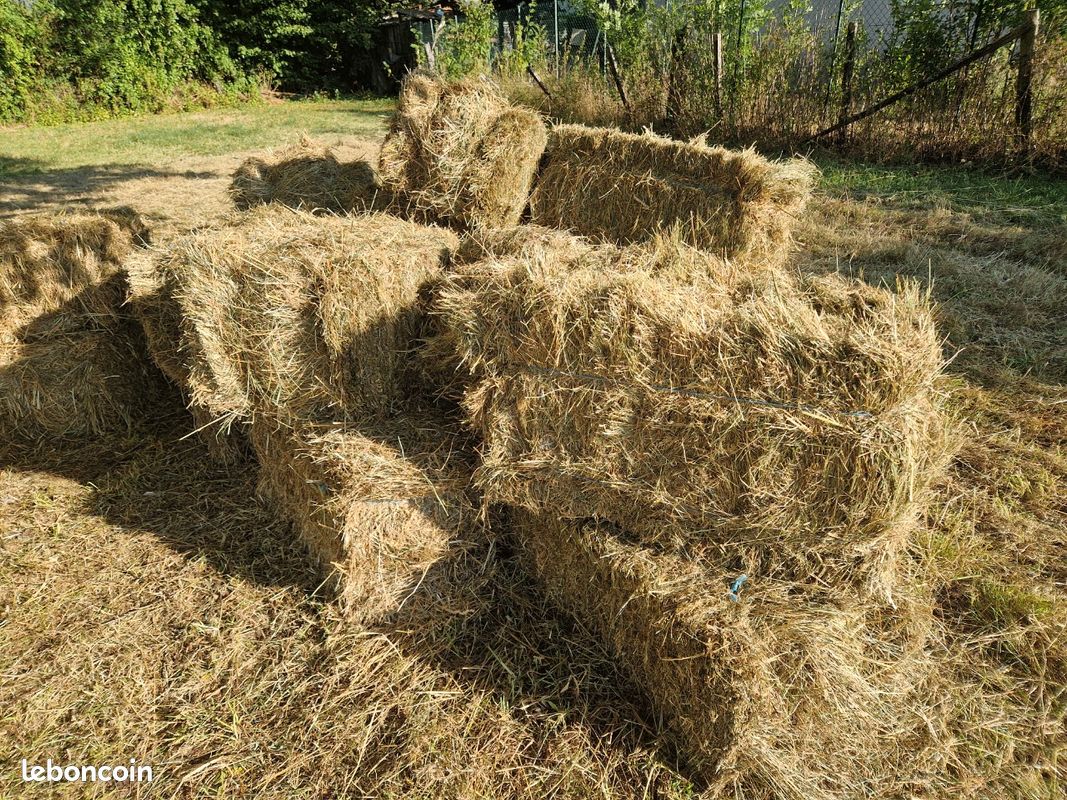 Bottes de foin (image 1)
