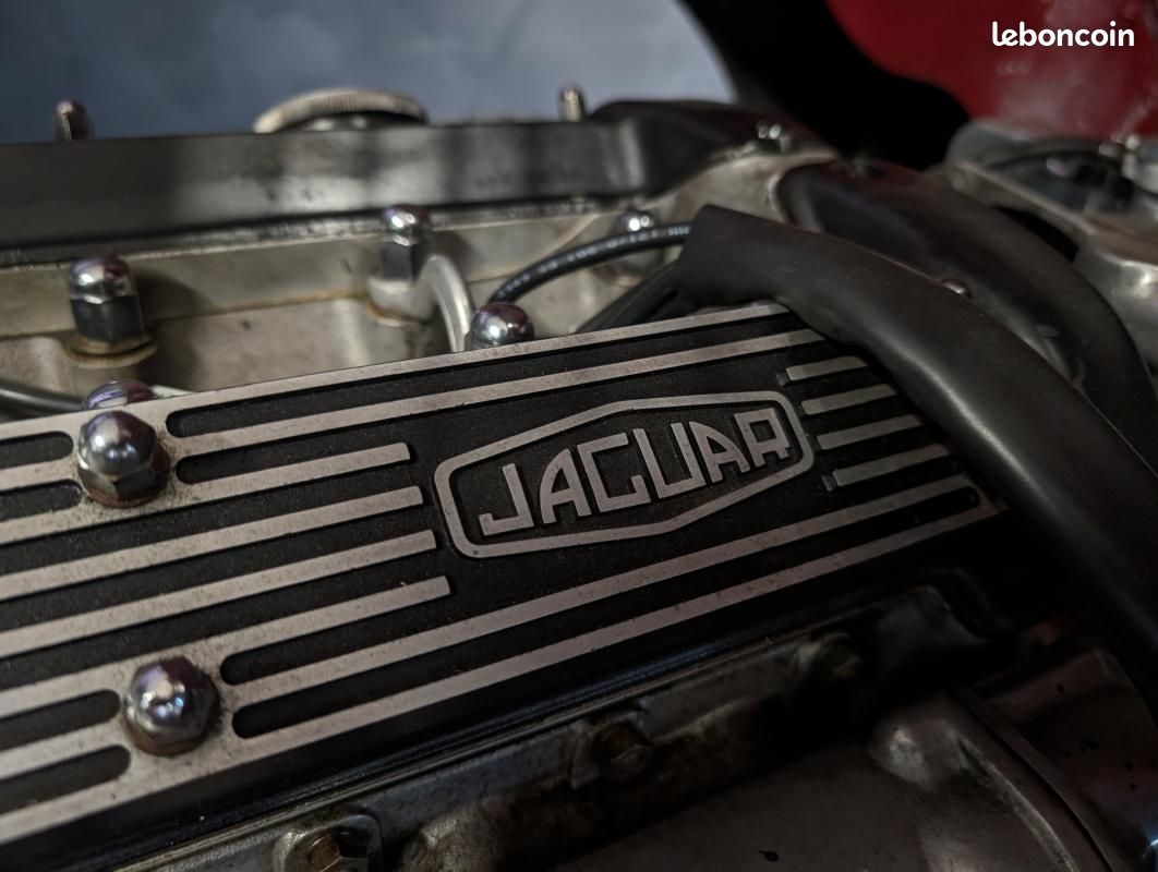 Jaguar E-Type Series 2 4.2 6 cyl en ligne (image 30)