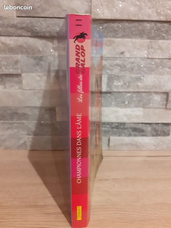 Livre de poche Championnes dans l'âme de Bonnie Bryant (image 3)
