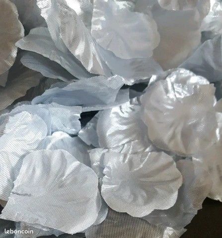 Pétales de roses argenté (image 2)