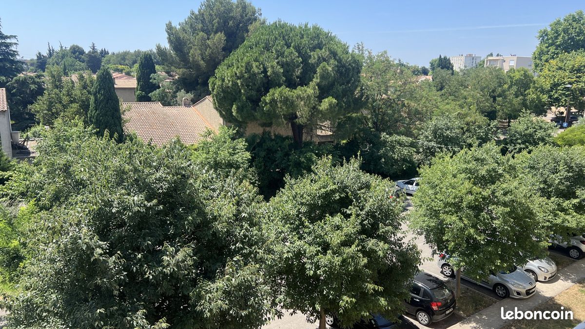 Appartement a louer avignon - 3 pièce(s) - 66 m2 - Surfyn