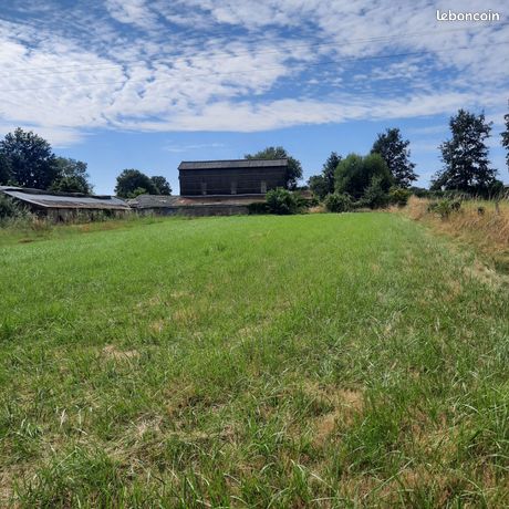 Terrain 3332 m² Chalonnes-sur-Loire
