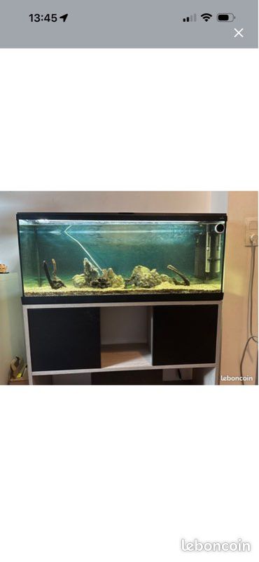 Aquarium (image 1)